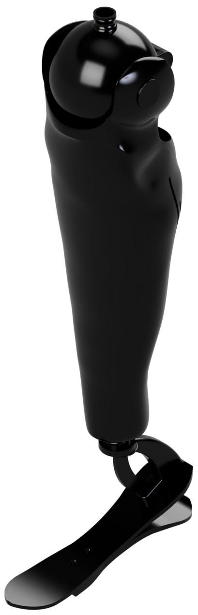 Prosthetic Leg